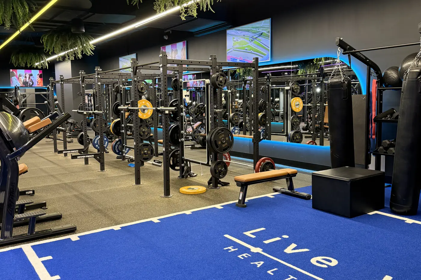 A gym floor and equipment, cleaned before opening